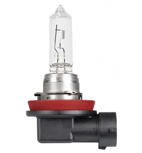 H9 Bulb 709